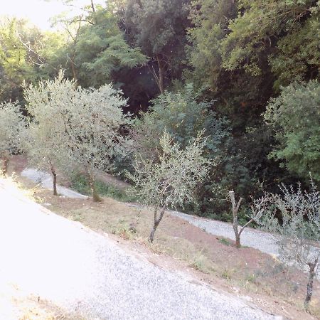 Fattoria Ceragioli Villa Camaiore Buitenkant foto