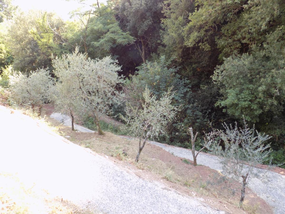 Fattoria Ceragioli Villa Camaiore Buitenkant foto