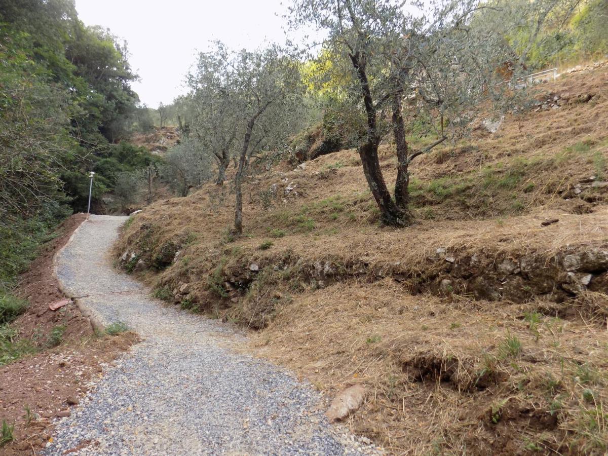 Fattoria Ceragioli Villa Camaiore Buitenkant foto