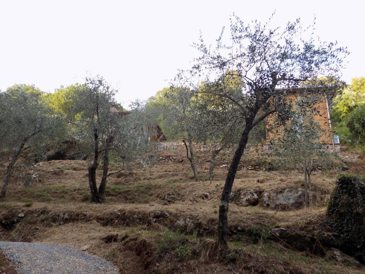 Fattoria Ceragioli Villa Camaiore Buitenkant foto