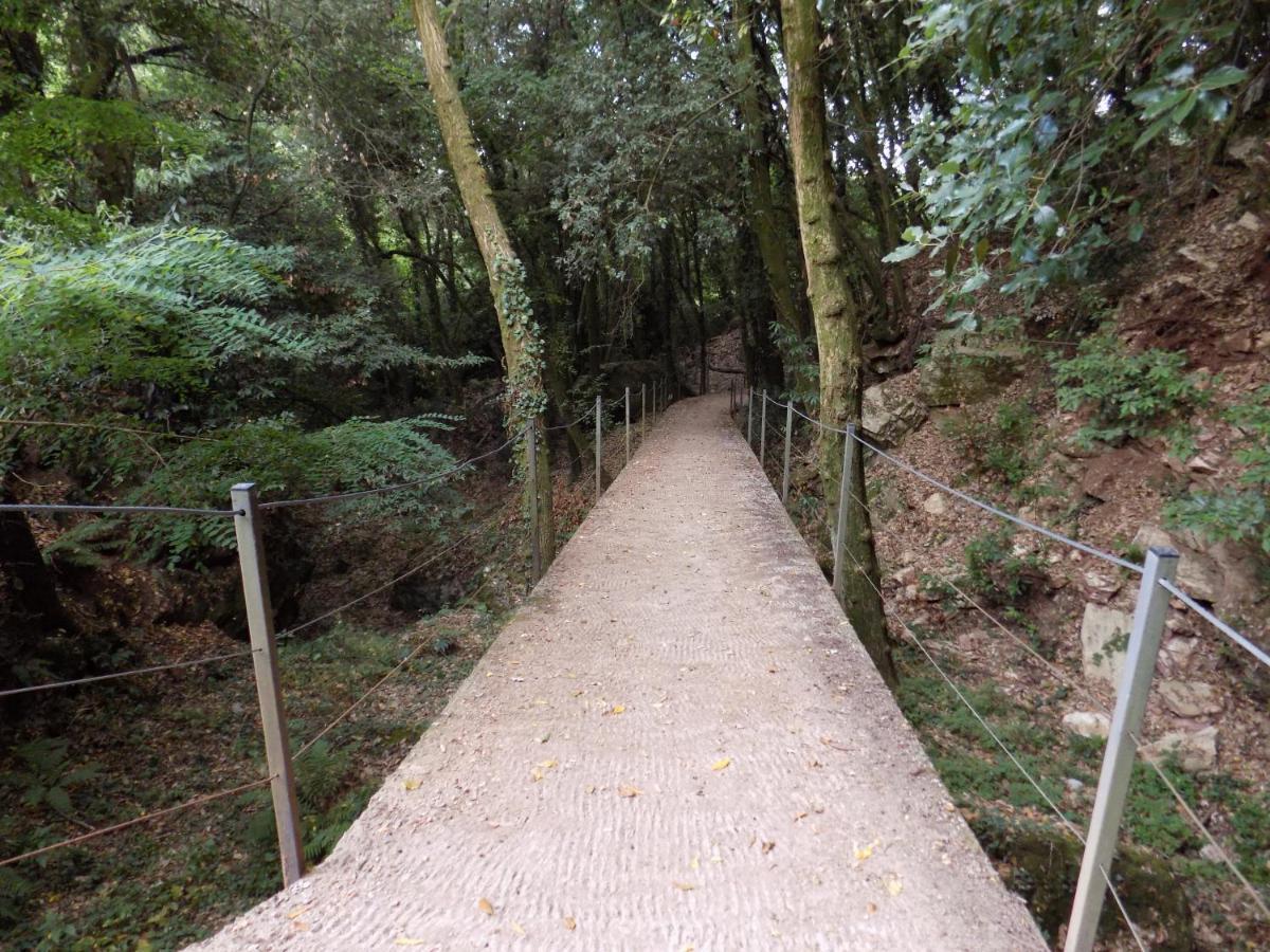 Fattoria Ceragioli Villa Camaiore Buitenkant foto