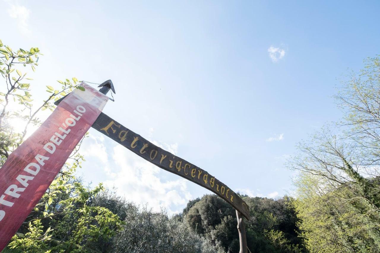 Fattoria Ceragioli Villa Camaiore Buitenkant foto
