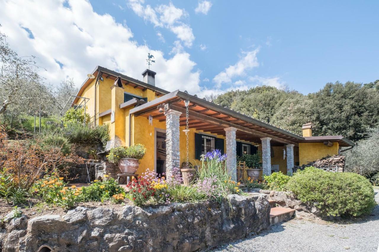 Fattoria Ceragioli Villa Camaiore Buitenkant foto