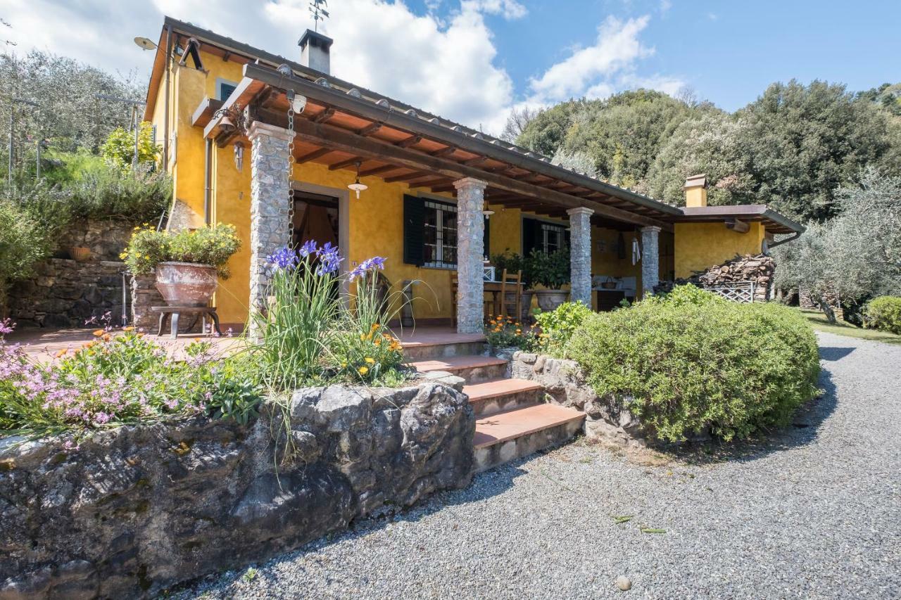 Fattoria Ceragioli Villa Camaiore Buitenkant foto